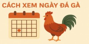 Giới thiệu về cách xem ngày đá gà