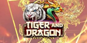 Tổng quan về bí quyết chơi rồng hổ online