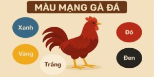 Tổng quan về màu mạng đá gà